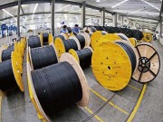 Evolution y aplicaciones de la cabella de fiber